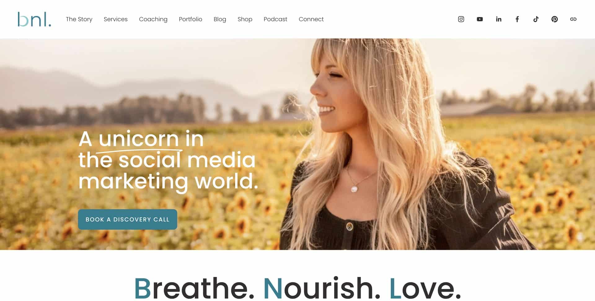 BNL Media Consulting