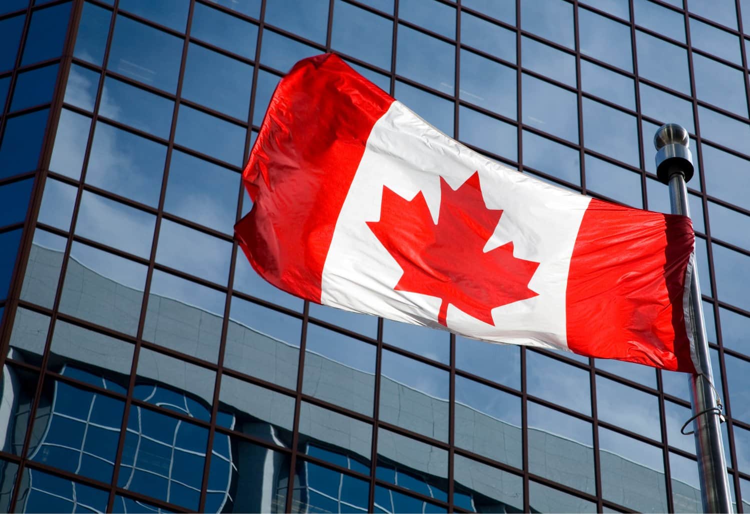 Web designers in Canada