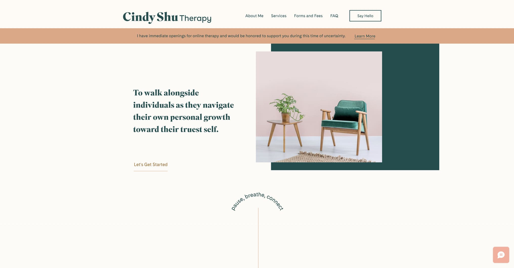 Cindy Shu Therapy Website