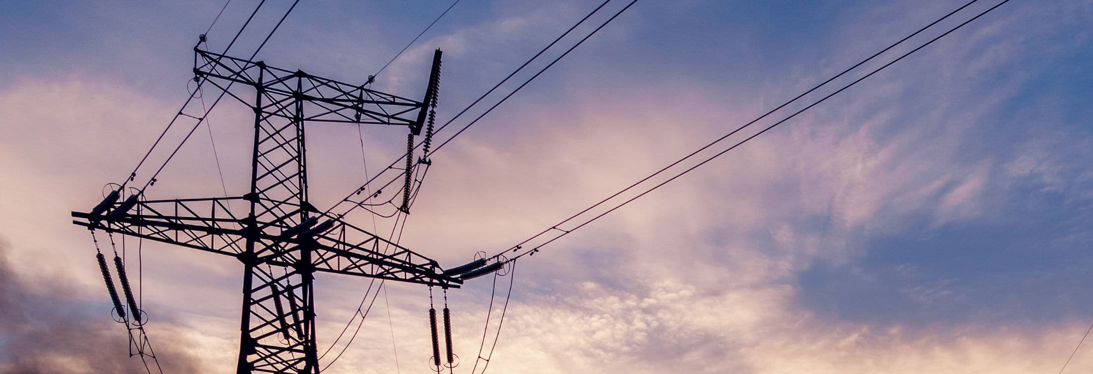 Energy Company Power Grid